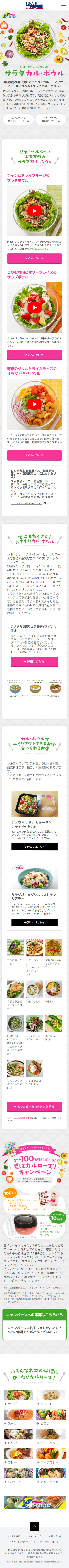 USAライス連合会様 キャンペーンサイト③